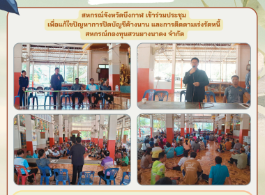 สหกรณ์จังหวัดบึงกาฬ ... พารามิเตอร์รูปภาพ 5